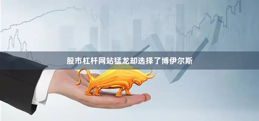股市杠杆网站猛龙却选择了博伊尔斯