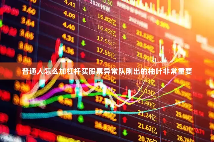 普通人怎么加杠杆买股票异常队刚出的柚叶非常重要