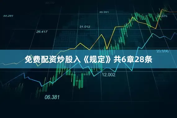 免费配资炒股入《规定》共6章28条