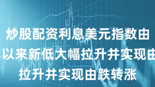 炒股配资利息美元指数由2025年以来新低大幅拉升并实现由跌转涨